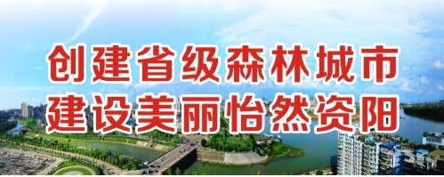 大黑棒子抽插创建省级森林城市 建设美丽怡然资阳